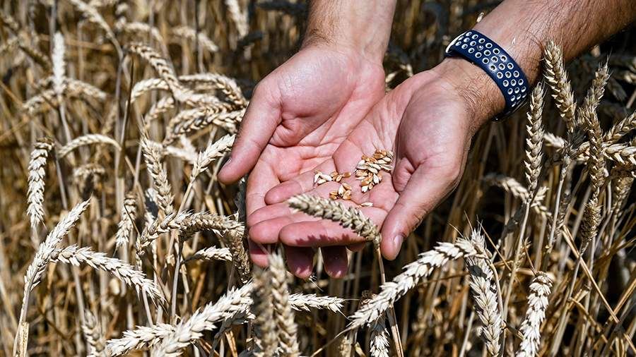 МИД РФ сообщил о продлении зерновой сделки до 17 июля<br />
